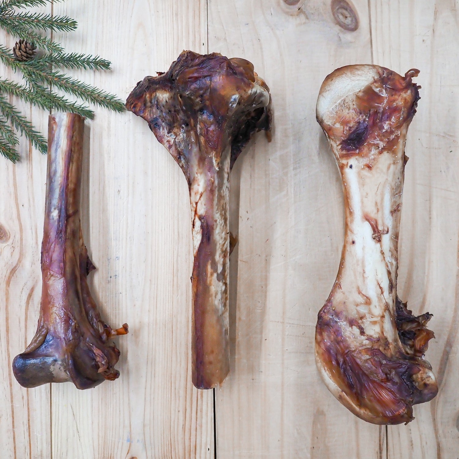 Ostrich Bone – Hypoallergenic, Long-Lasting Novel Protein Dog Chew, Naturally Sourced