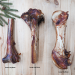Ostrich Bone – Hypoallergenic, Long-Lasting Novel Protein Dog Chew, Naturally Sourced