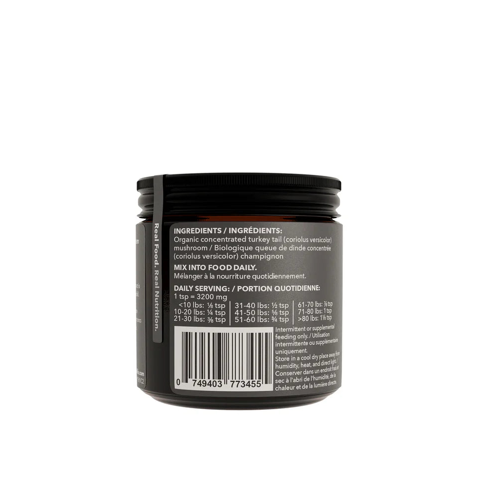 Organic turkey tail mushroom powder for dogs to boost immune system and vitality.