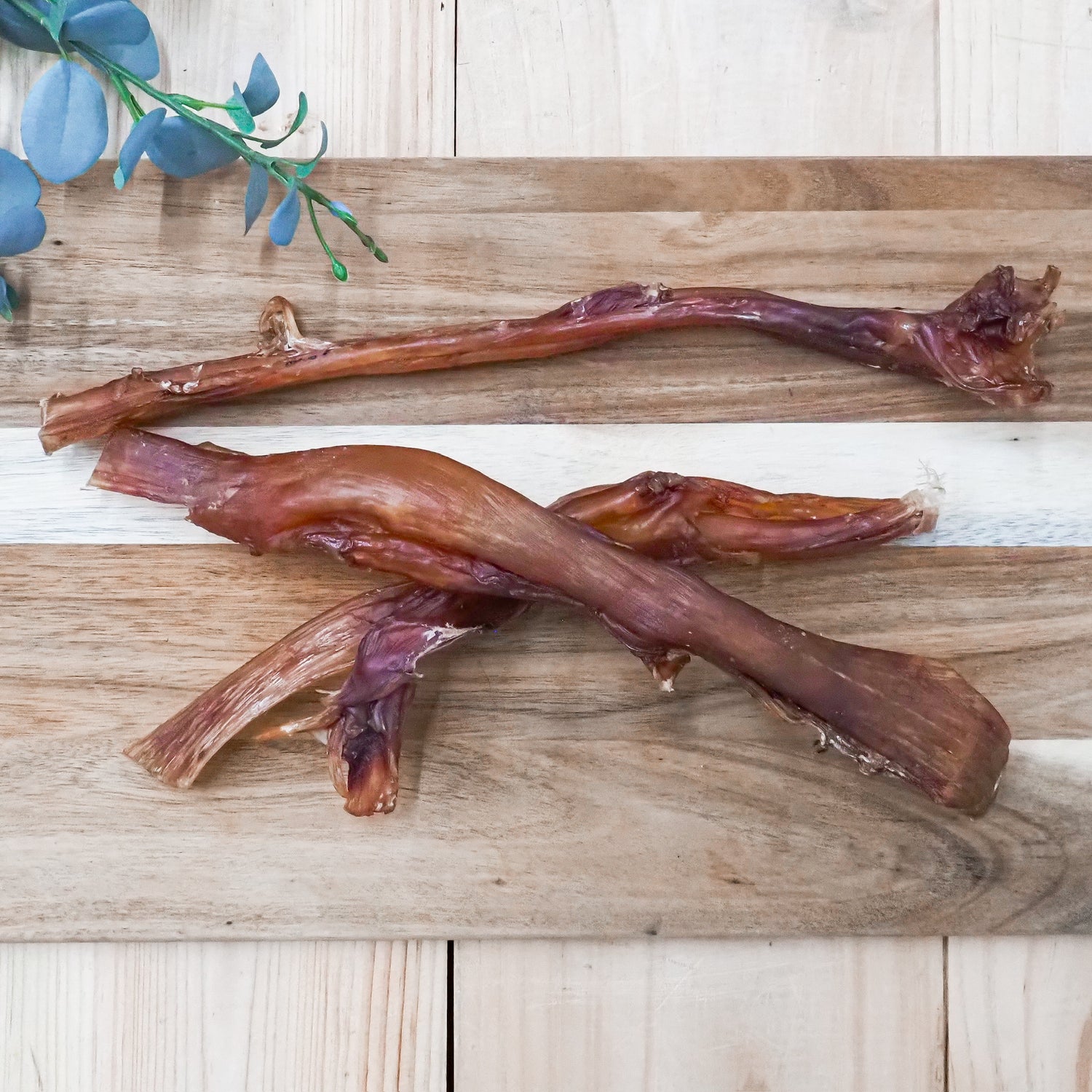 Ostrich tendon dog treat, novel protein chew for dogs with food allergies or sensitivities