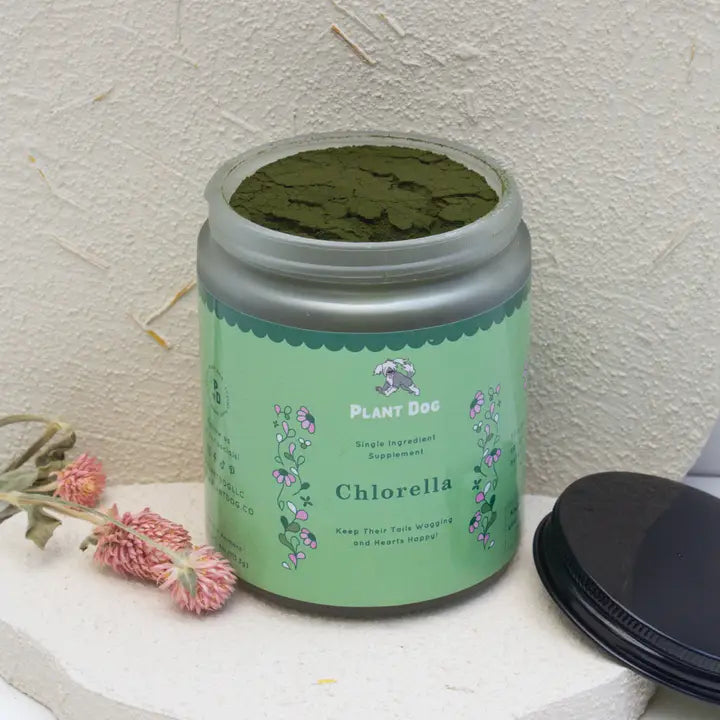 Natural chlorella powder for dogs to support detox, digestion, and immune health.
