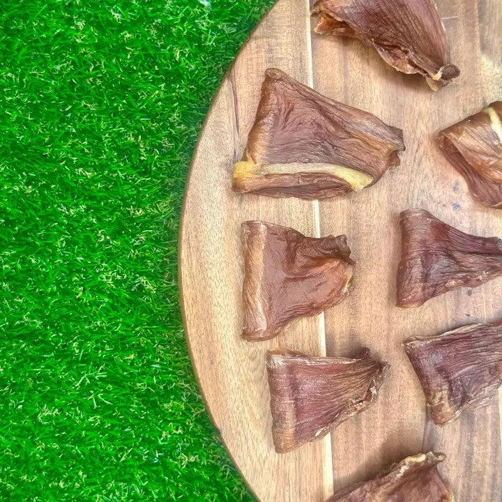 All-natural rabbit flank dog chew, novel protein treat ideal for allergy-prone dogs.