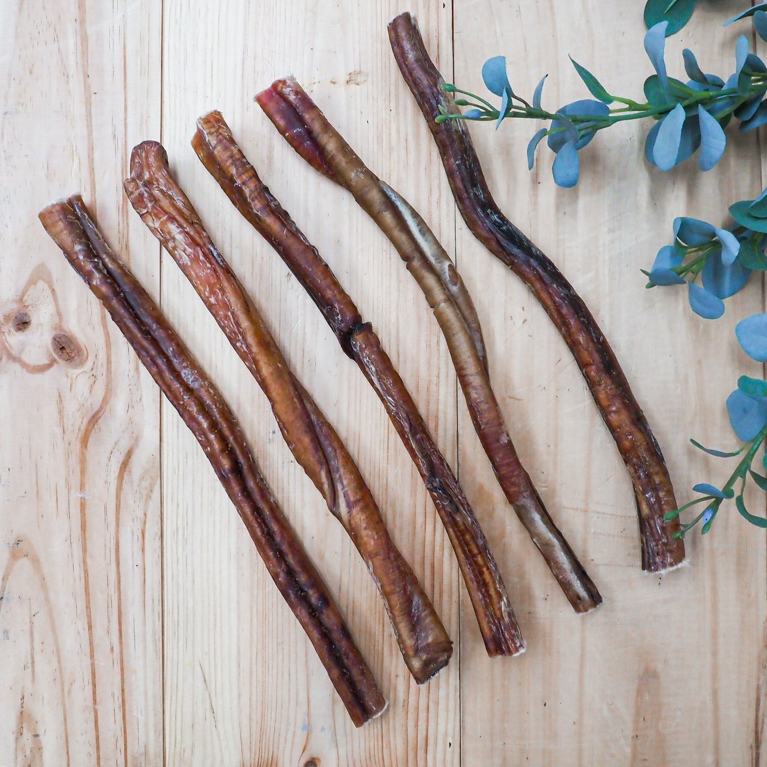 12-inch jumbo bully stick for dogs, single-ingredient and odor-free chew sourced from free-range cattle.