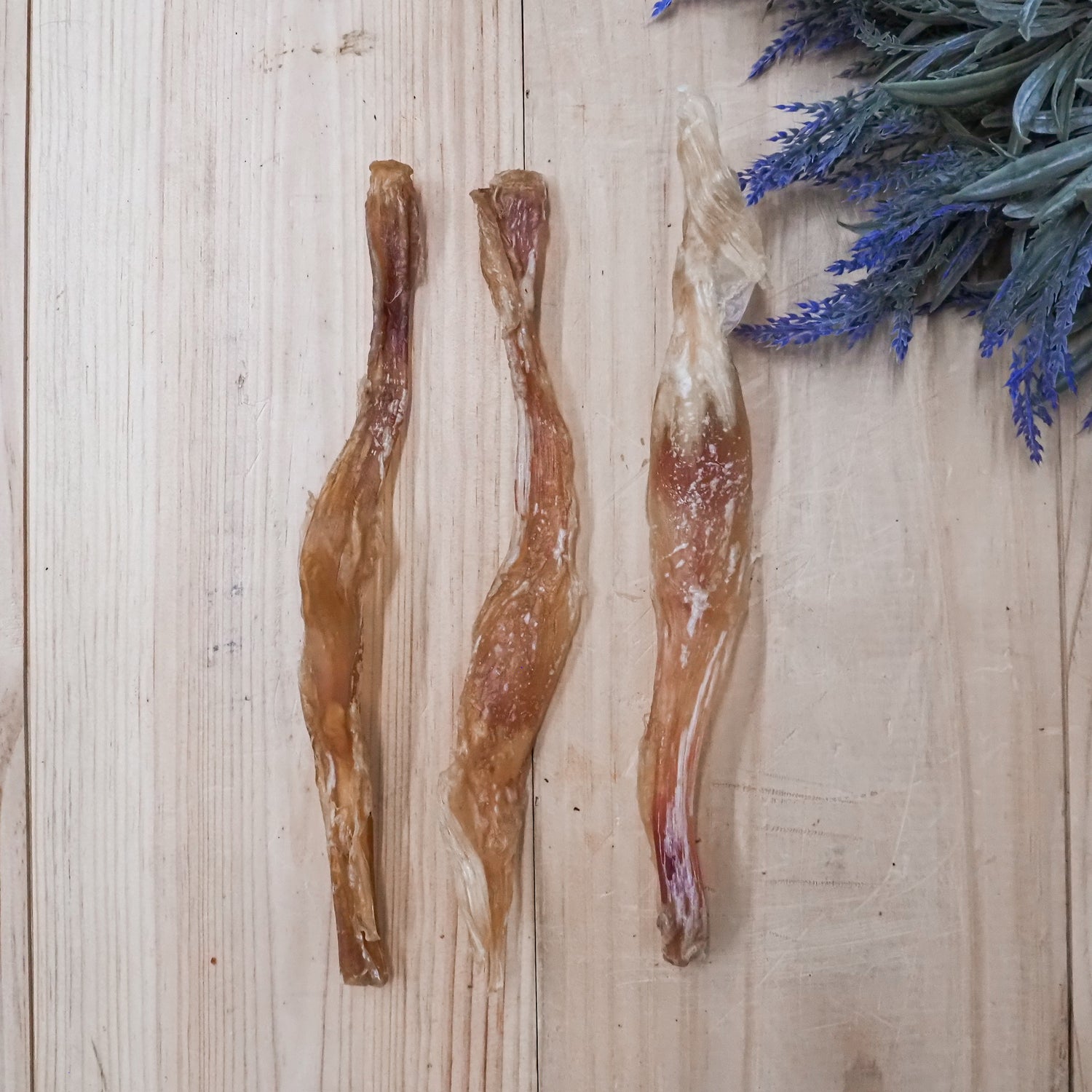 Beef Gambrel Tendon Chew – Natural Beef Dog Chew for Gentle Chewers