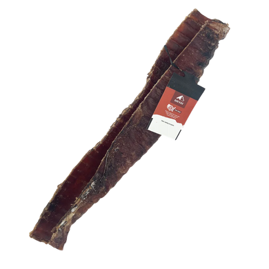 Bison Trachea