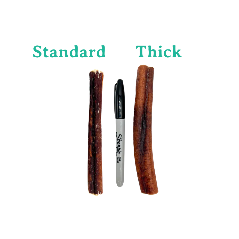 6" Beef Bully Stick - Long-Lasting, Odor-Free Chew for Dogs