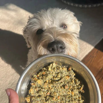PetMix Lamb Dinner Dehydrated Dog Food