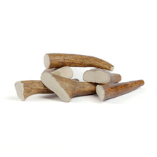 Load image into Gallery viewer, Moose antlers
