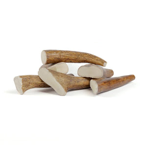 Moose antlers