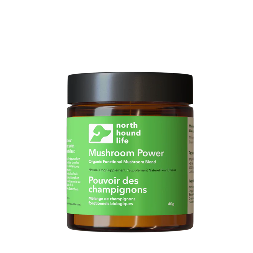 North Hound Life Mushroom Power (new name for Mushroom Superblend) – Multi-Mushroom Immune Support Supplement for Dogs
