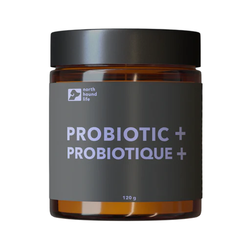 North Hound Life Probiotic+ – Natural Probiotic & Digestive Support Powder for Dogs
