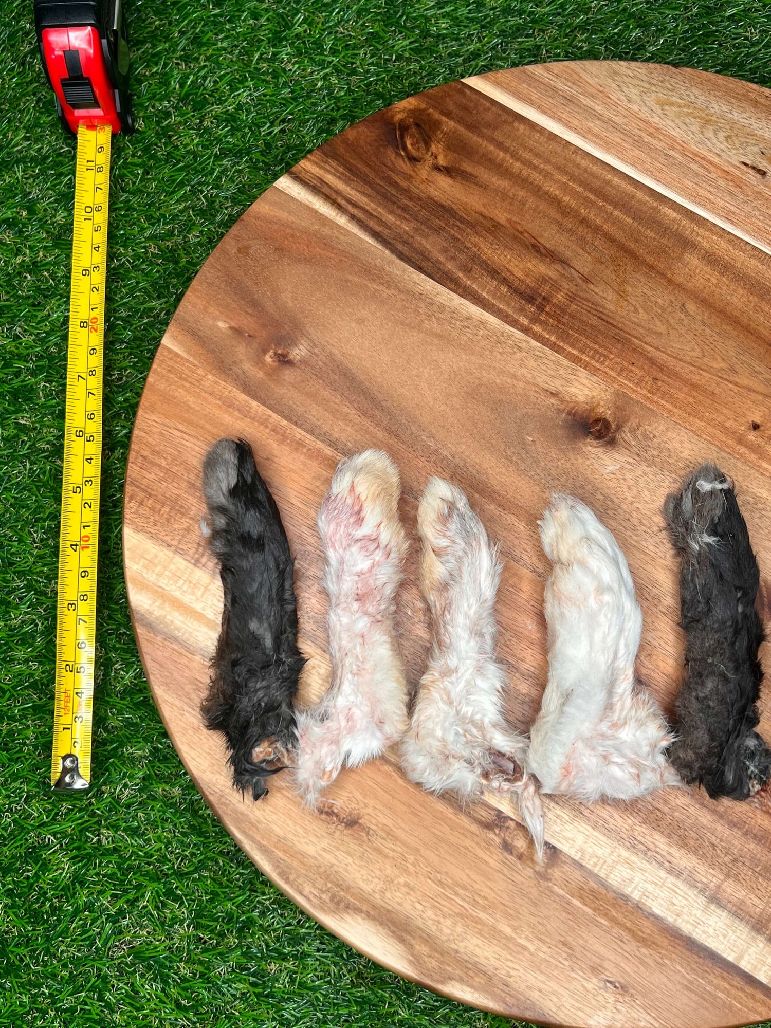 Dehydrated Rabbit Feet Dog Treats – Single Ingredient, All-Natural, Hormone-Free