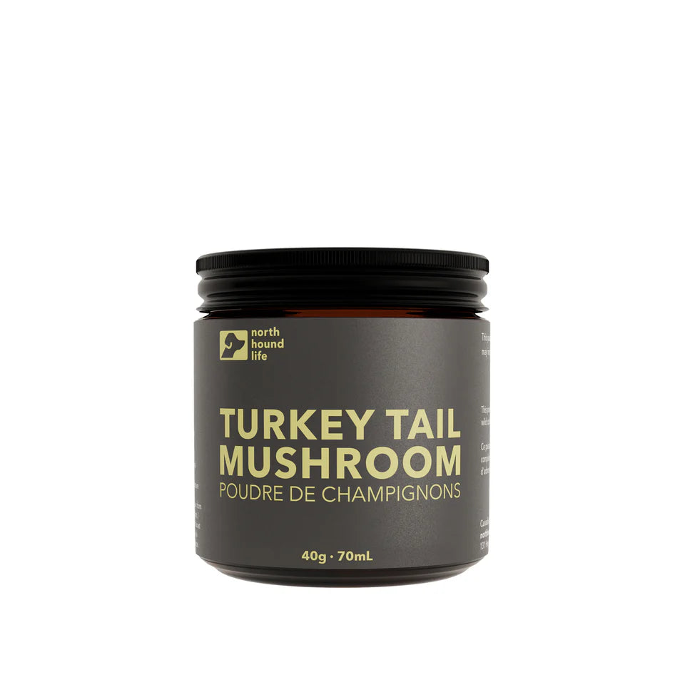 Jar of Turkey Tail Mushroom powder with North Hound Life branding on a white background