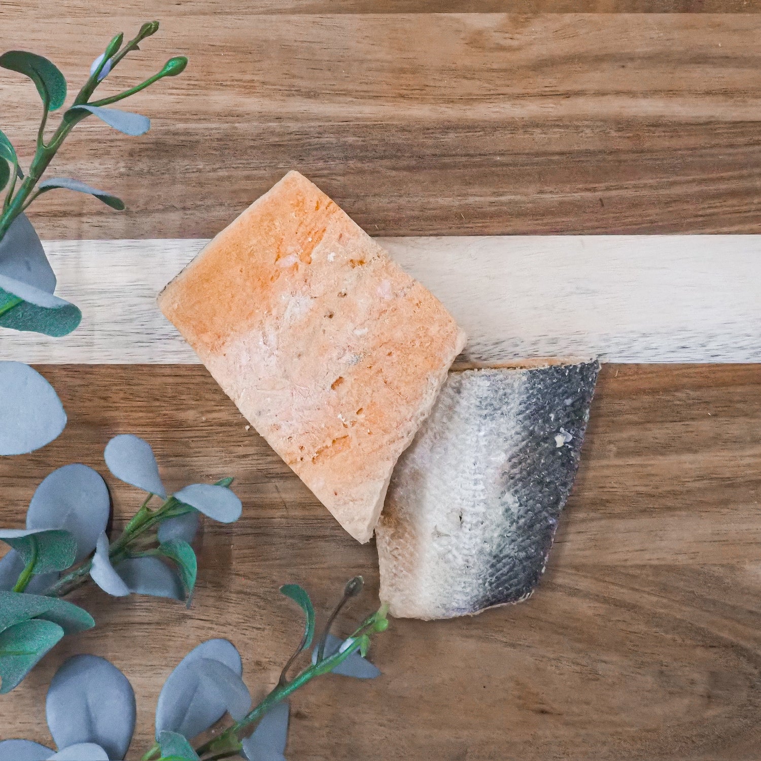Freeze Dried Wild Salmon Fillets
