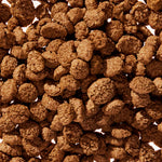 WonderGland dog supplement mixed into food for digestive and glandular health support