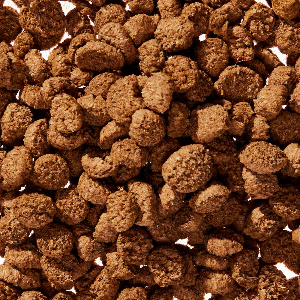 WonderGland dog supplement mixed into food for digestive and glandular health support