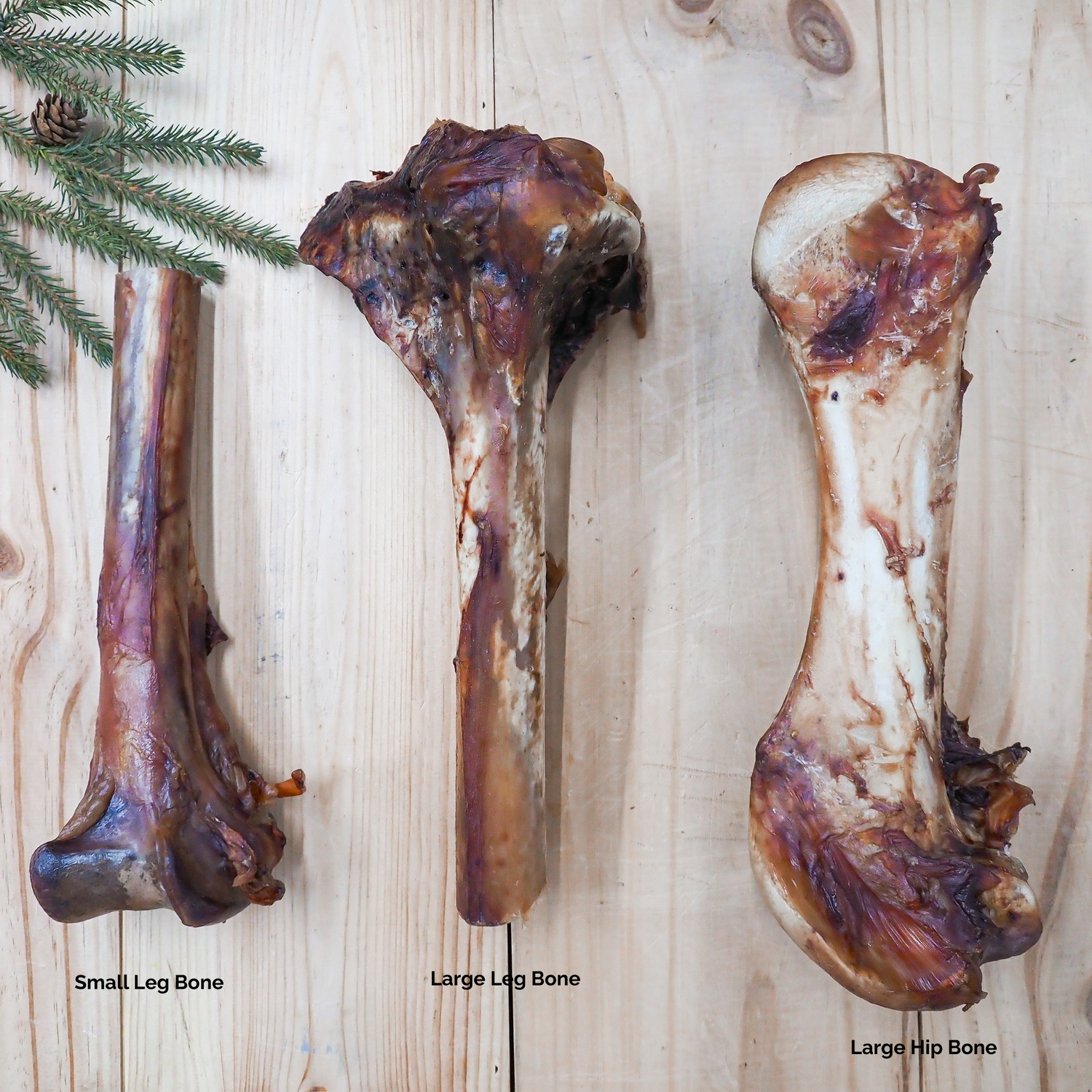 Ostrich Bone – Hypoallergenic, Long-Lasting Novel Protein Dog Chew, Naturally Sourced