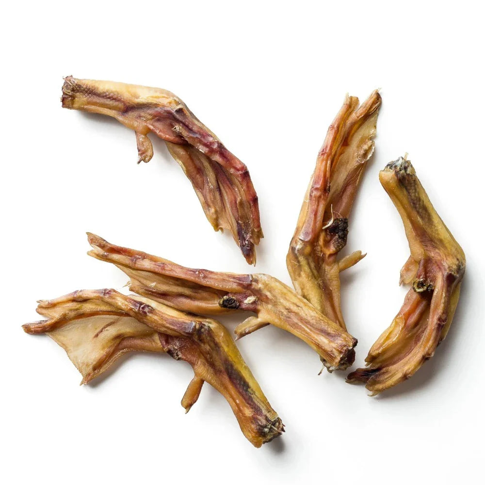 Dried Duck Feet – Single-Ingredient, Novel Protein Dog Chew for Joint Support