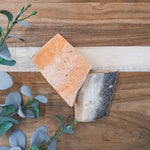 All-natural freeze-dried wild salmon for dogs, grain-free high-protein treat or topper.