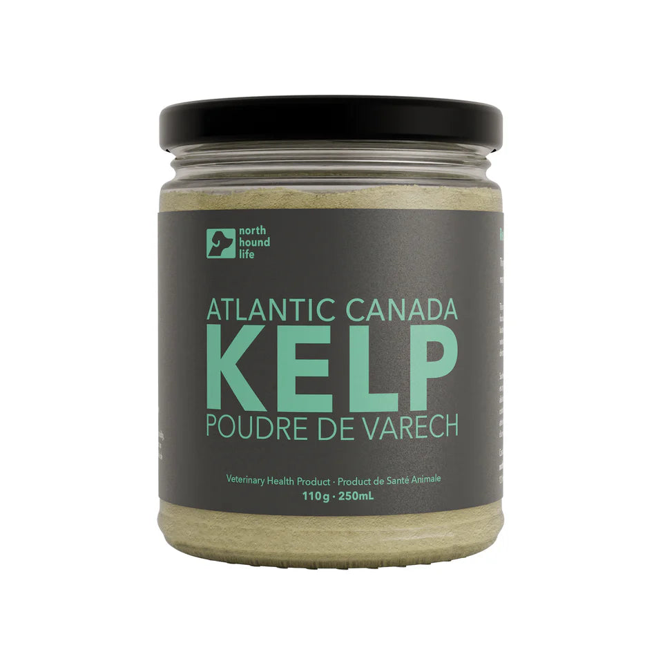 Atlantic Canada kelp powder for dogs by North Hound Life, natural source of minerals and iodine.