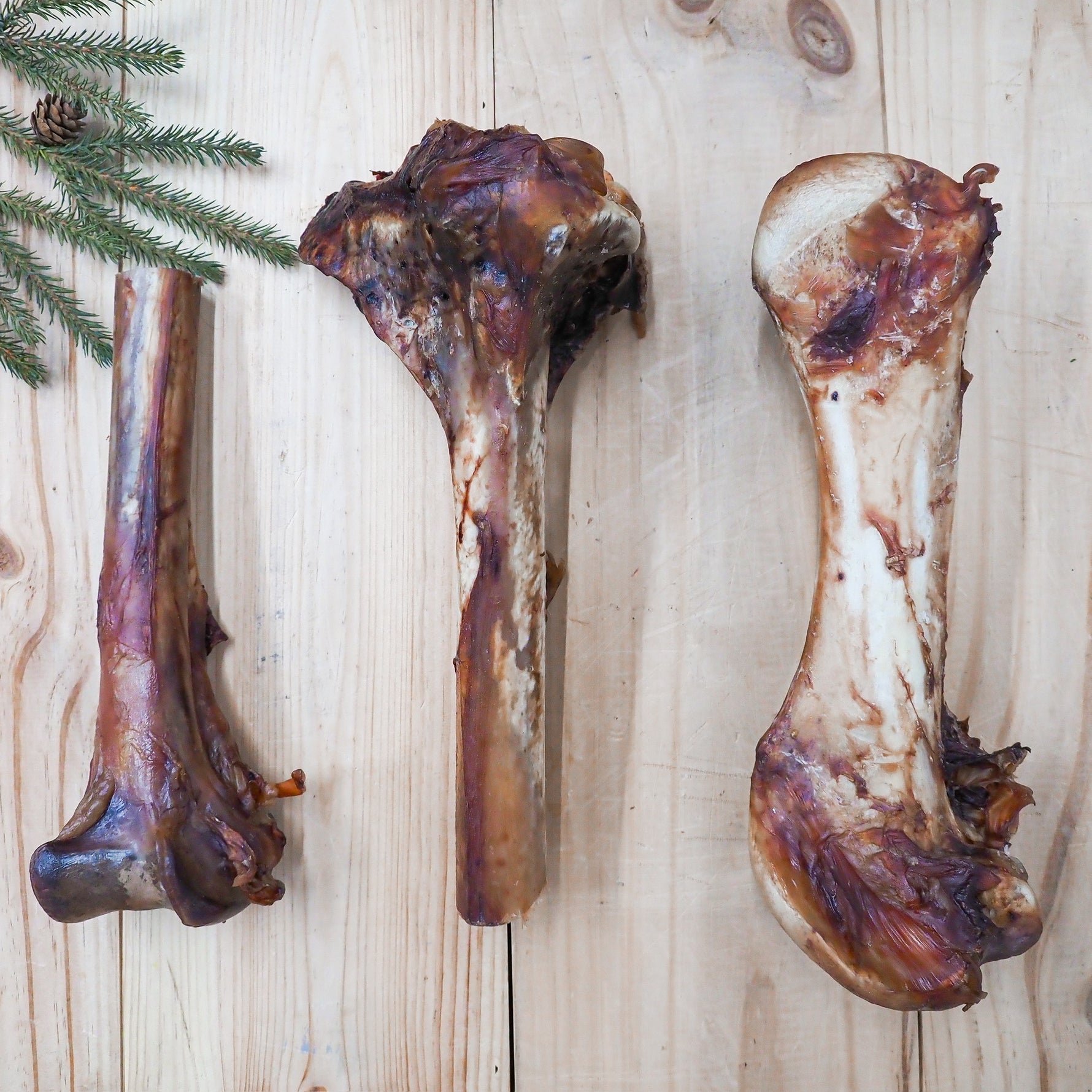 Natural ostrich bone dog chew, great for dogs with allergies or food sensitivities