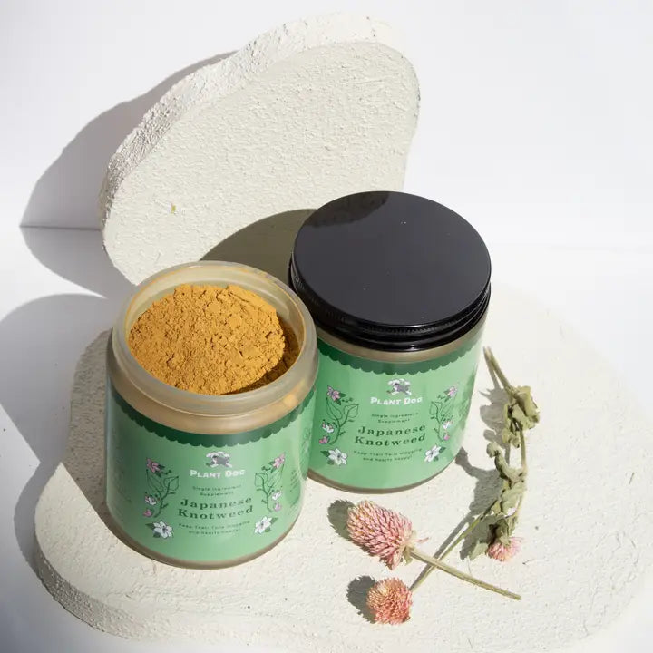 Plant Dog Japanese Knotweed powder for dogs, natural antioxidant supplement for wellness.