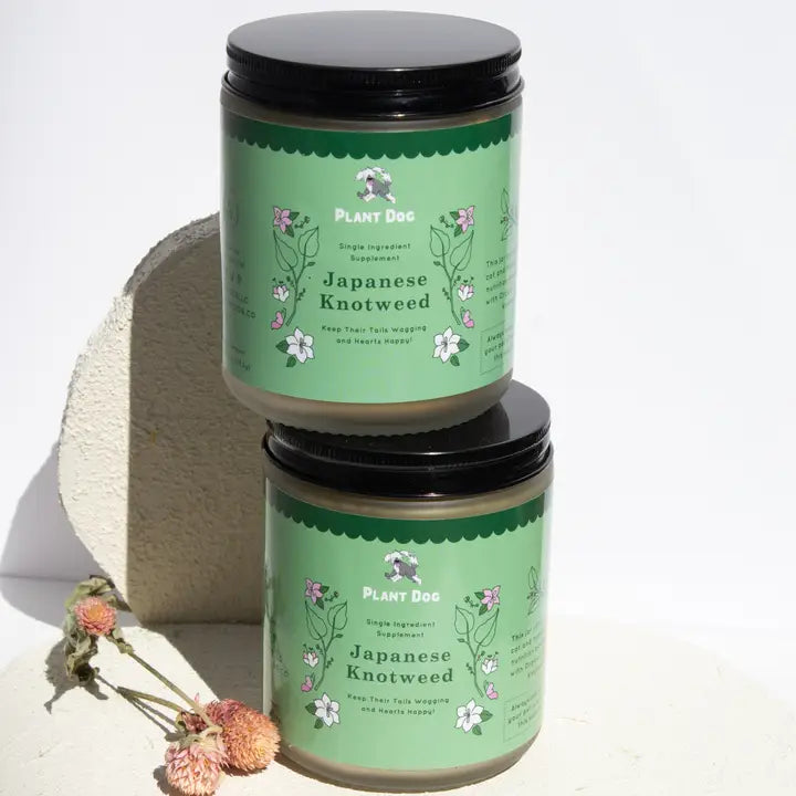 Plant Dog Japanese Knotweed powder for dogs, natural antioxidant supplement for wellness.