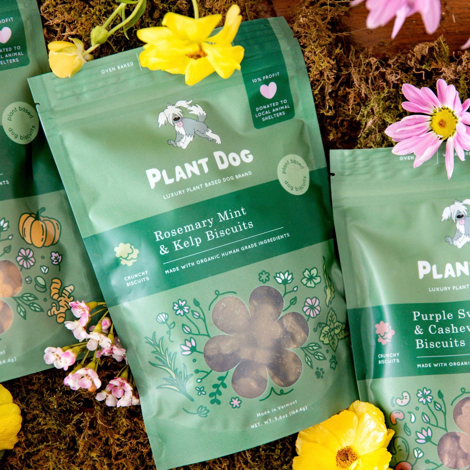 Plant Dog rosemary, mint and kelp biscuits, vegan dog treats for fresh breath and health.