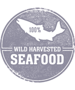 Freeze Dried Wild Salmon Fillets