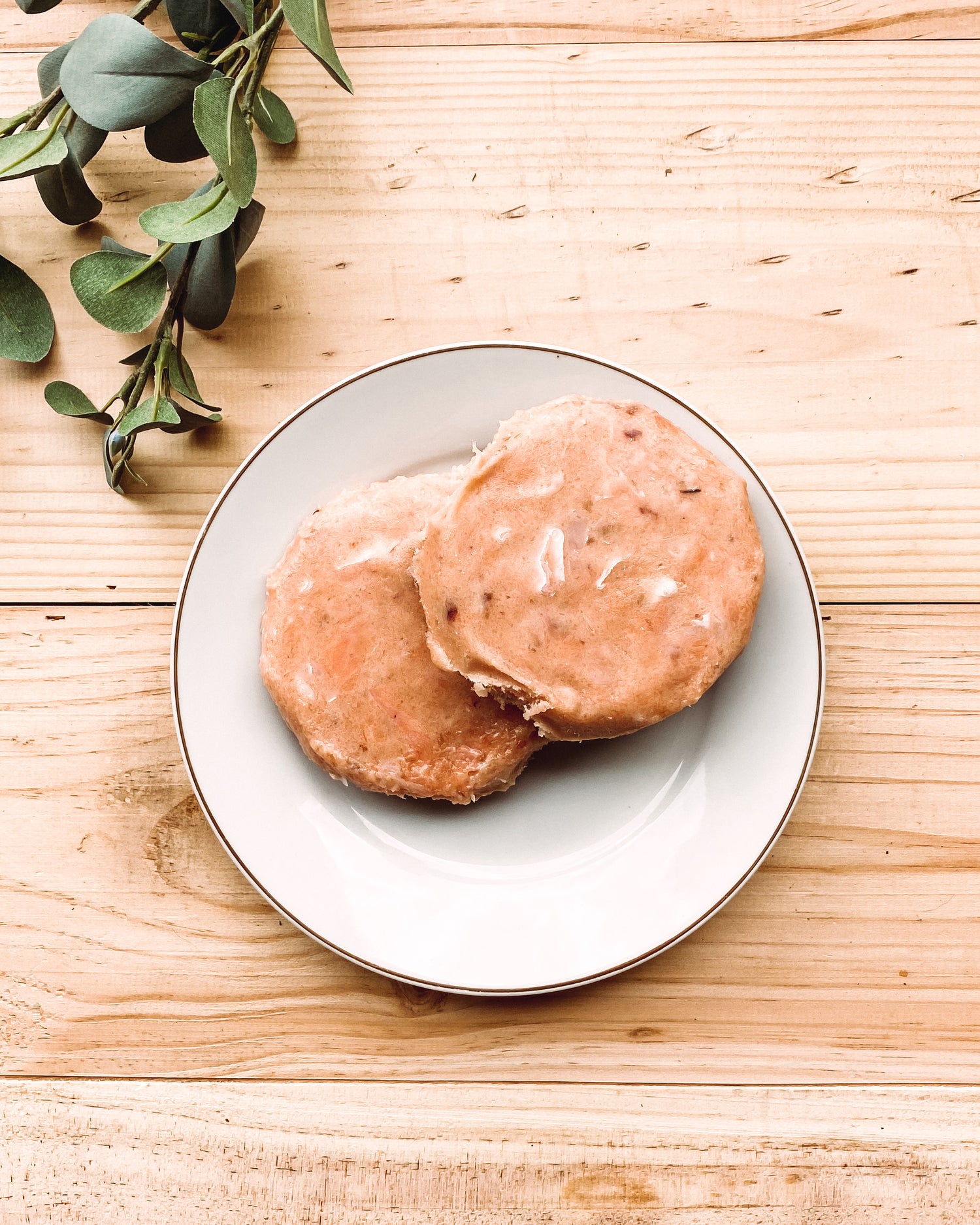Salmon Patties – Raw, Omega-3 Rich Dog Food, Grain-Free & Single Protein