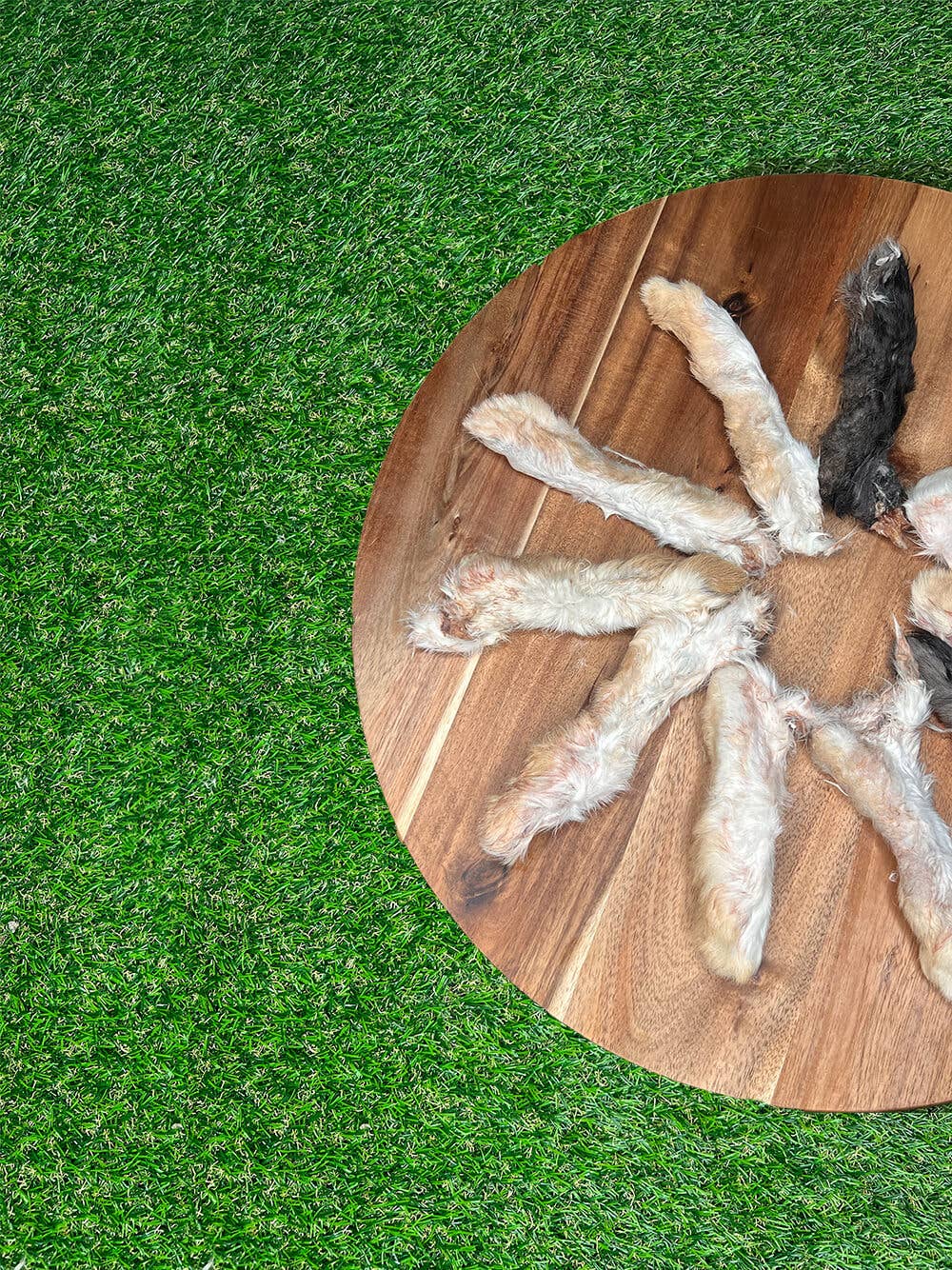 Dehydrated Rabbit Feet Dog Treats – Single Ingredient, All-Natural, Hormone-Free