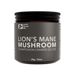Lion's Mane Mushroom for dogs