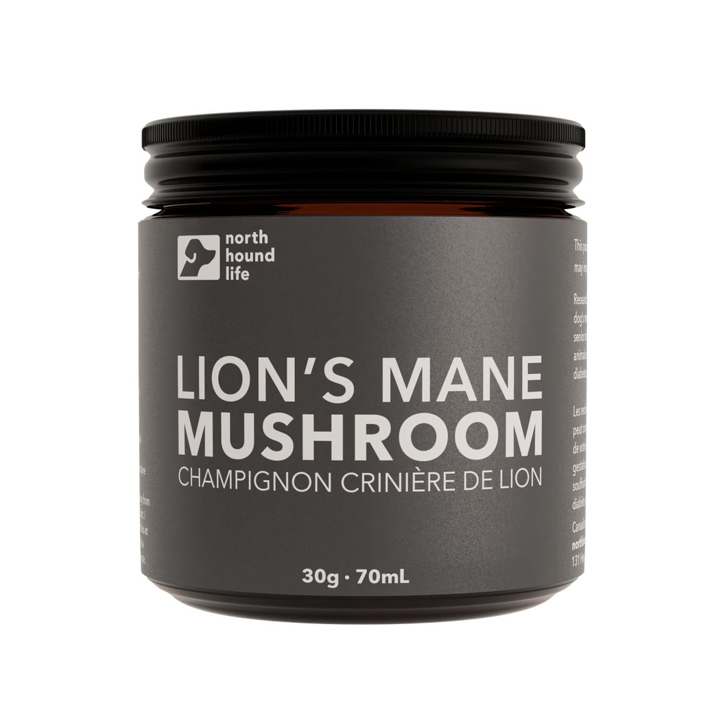 North Hound Life - Lion's Mane Mushroom: Superfood for dogs