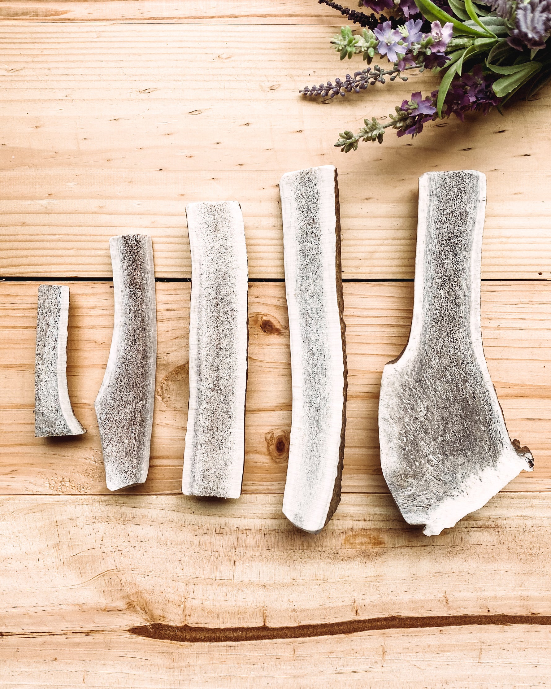 All-natural split elk antler chew for dogs, durable grain-free long-lasting treat.